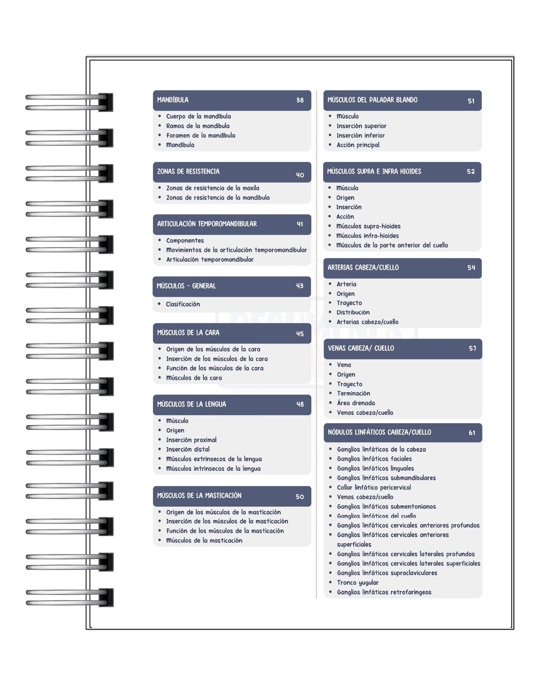 Libreta de Apuntes de Anatomía Cabeza y Cuello 3