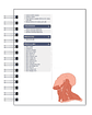 Libreta de Apuntes de Anatomía Cabeza y Cuello - Miniatura 4