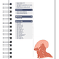 Libreta de Apuntes de Anatomía Cabeza y Cuello - Miniatura 4