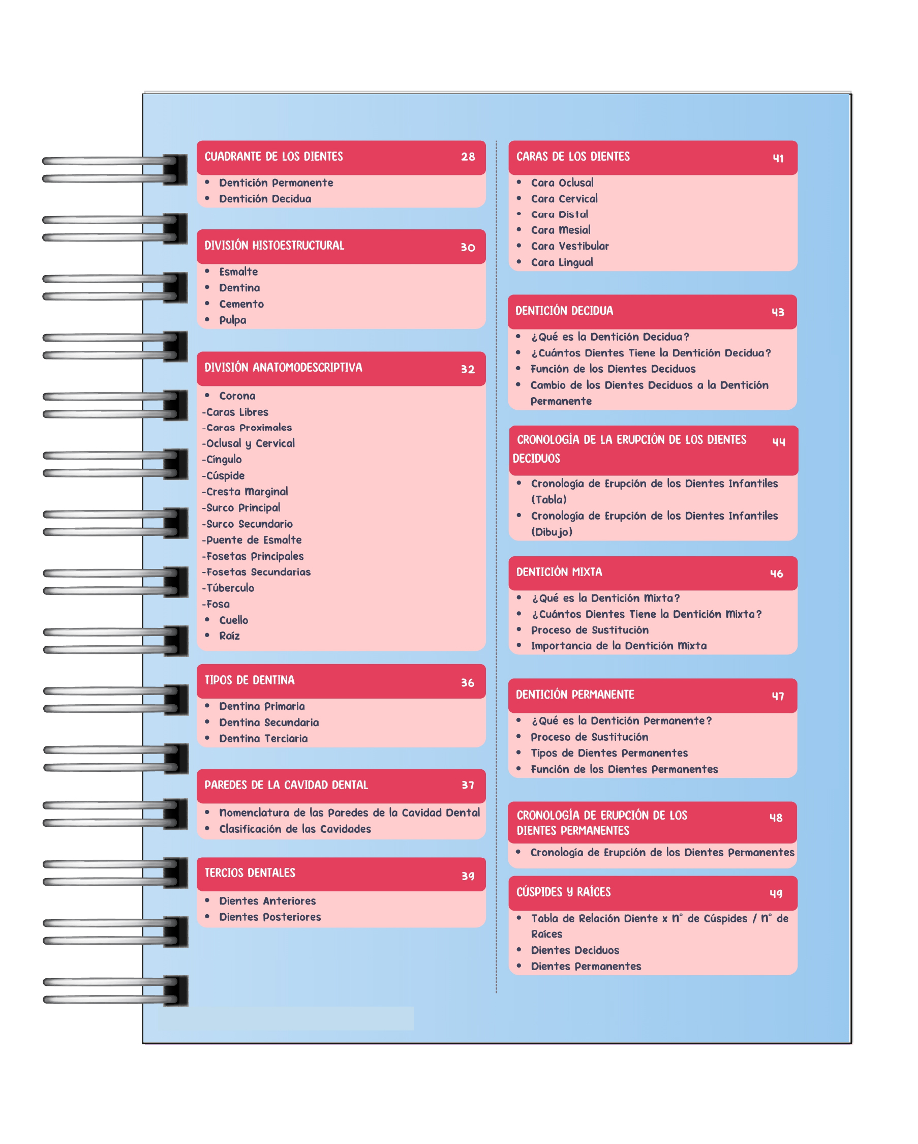 Libreta de Apuntes de Anatomía Dental  3