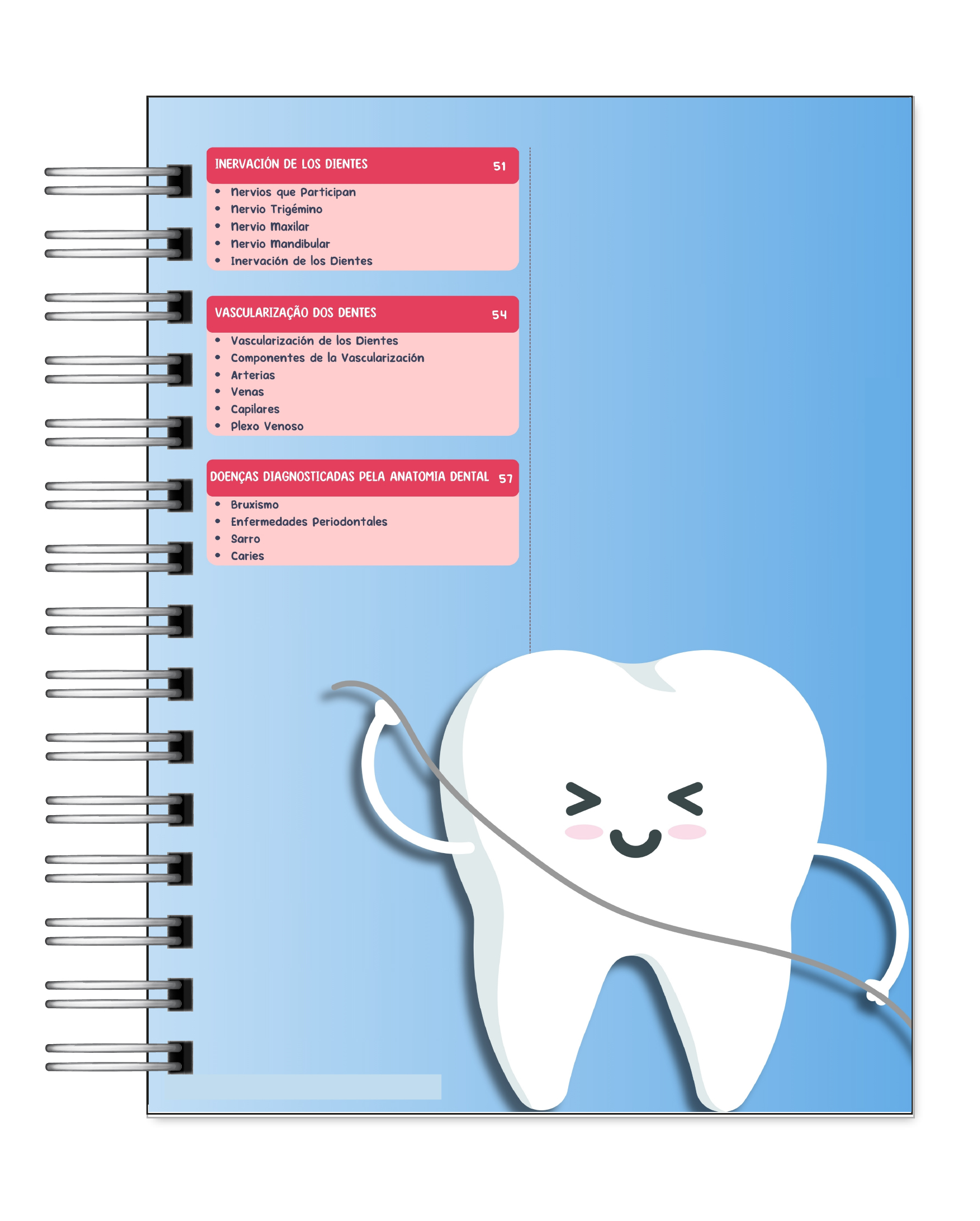 Libreta de Apuntes de Anatomía Dental  4