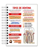 Libreta de Apuntes de Anatomía Dental  - Miniatura 7