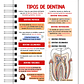 Libreta de Apuntes de Anatomía Dental  - Miniatura 7