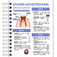 Libreta de Apuntes de Anatomía Dental  - Miniatura 8