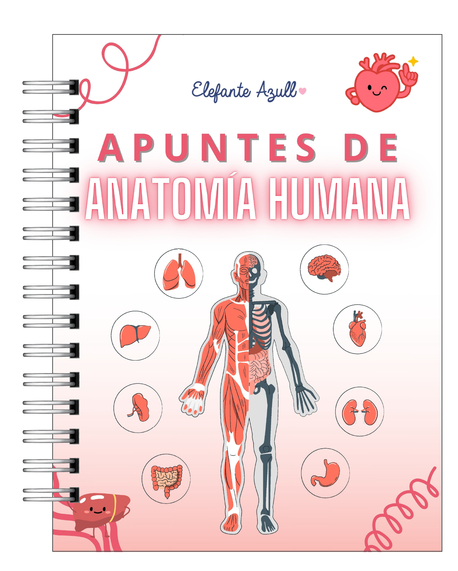 Libreta de Apuntes de Anatomía Humana 1