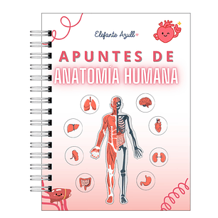 Libreta de Apuntes de Anatomía Humana