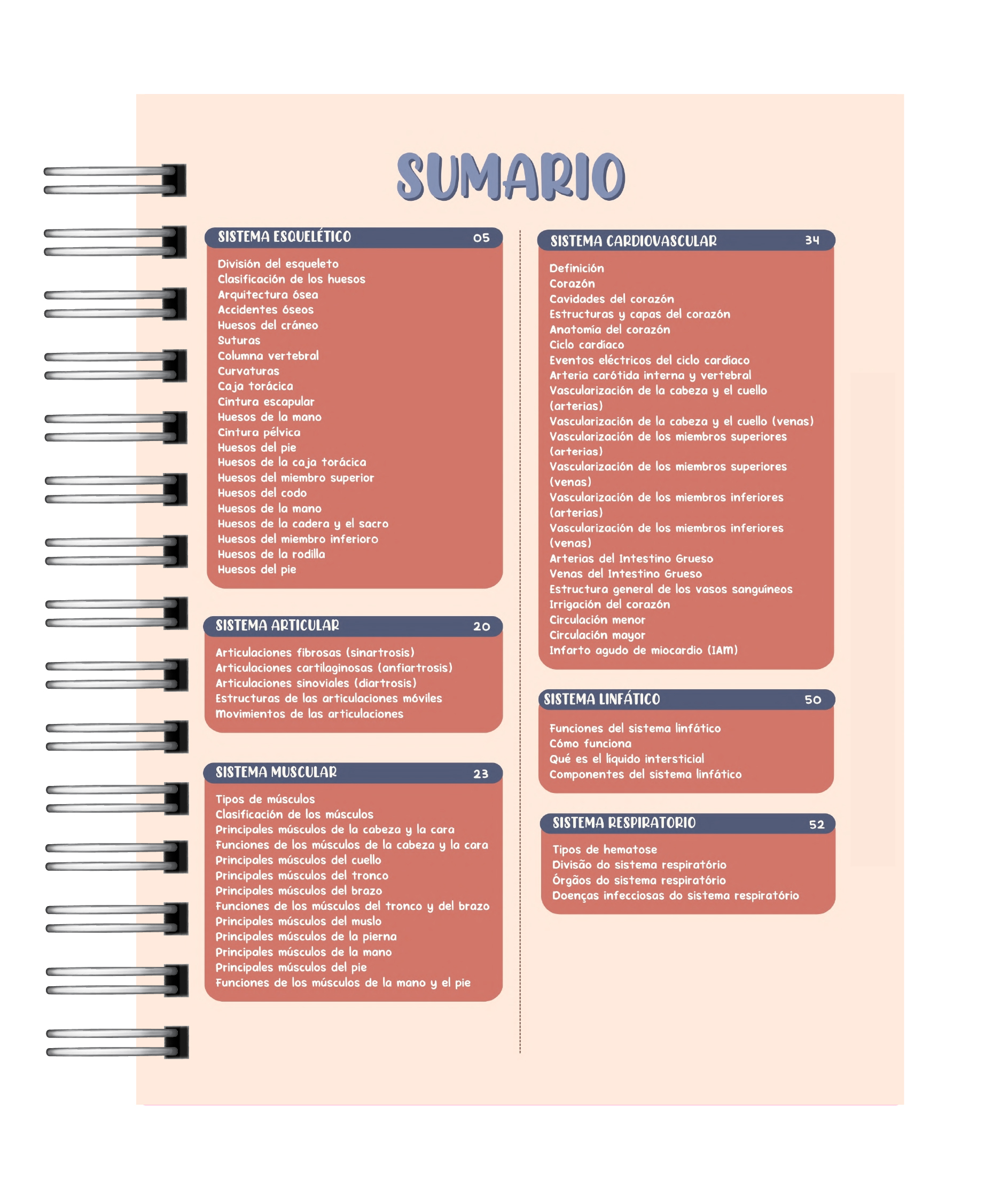 Libreta de Apuntes de Anatomía Humana 2