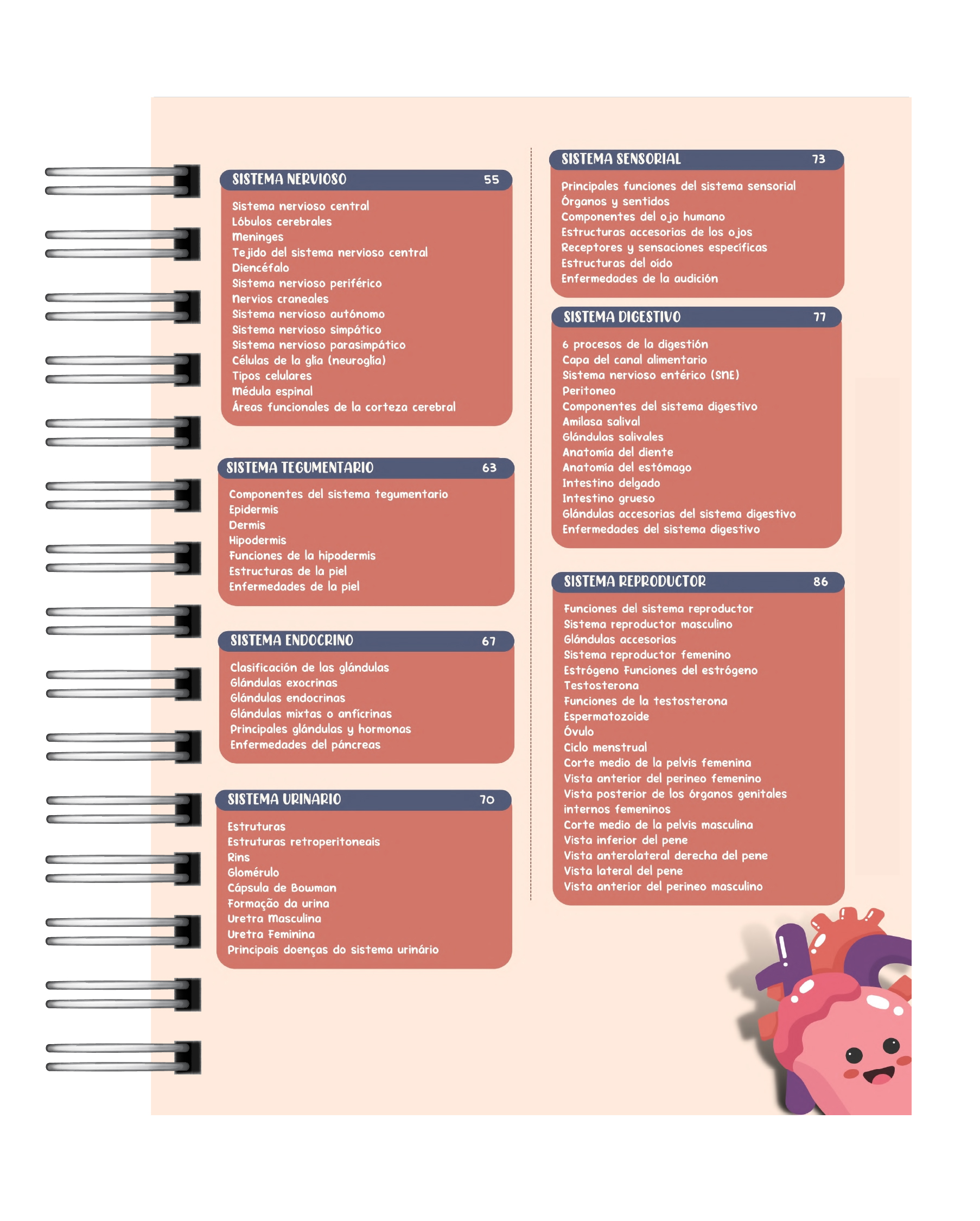 Libreta de Apuntes de Anatomía Humana 3