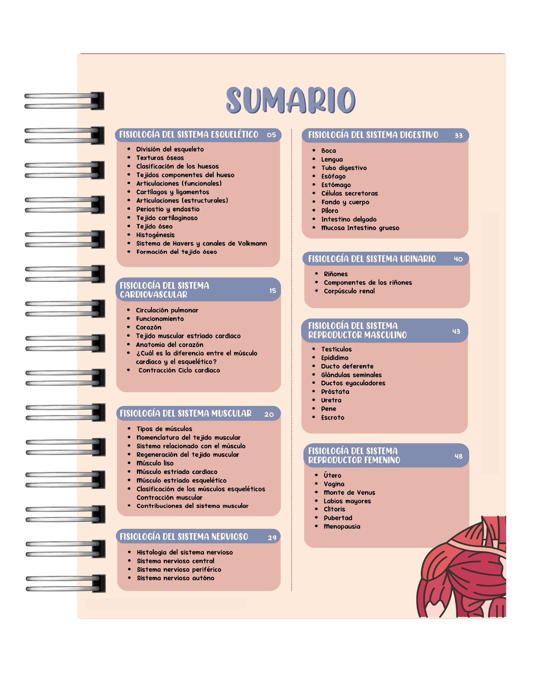 Libreta de Apuntes de Fisiología Humana 2