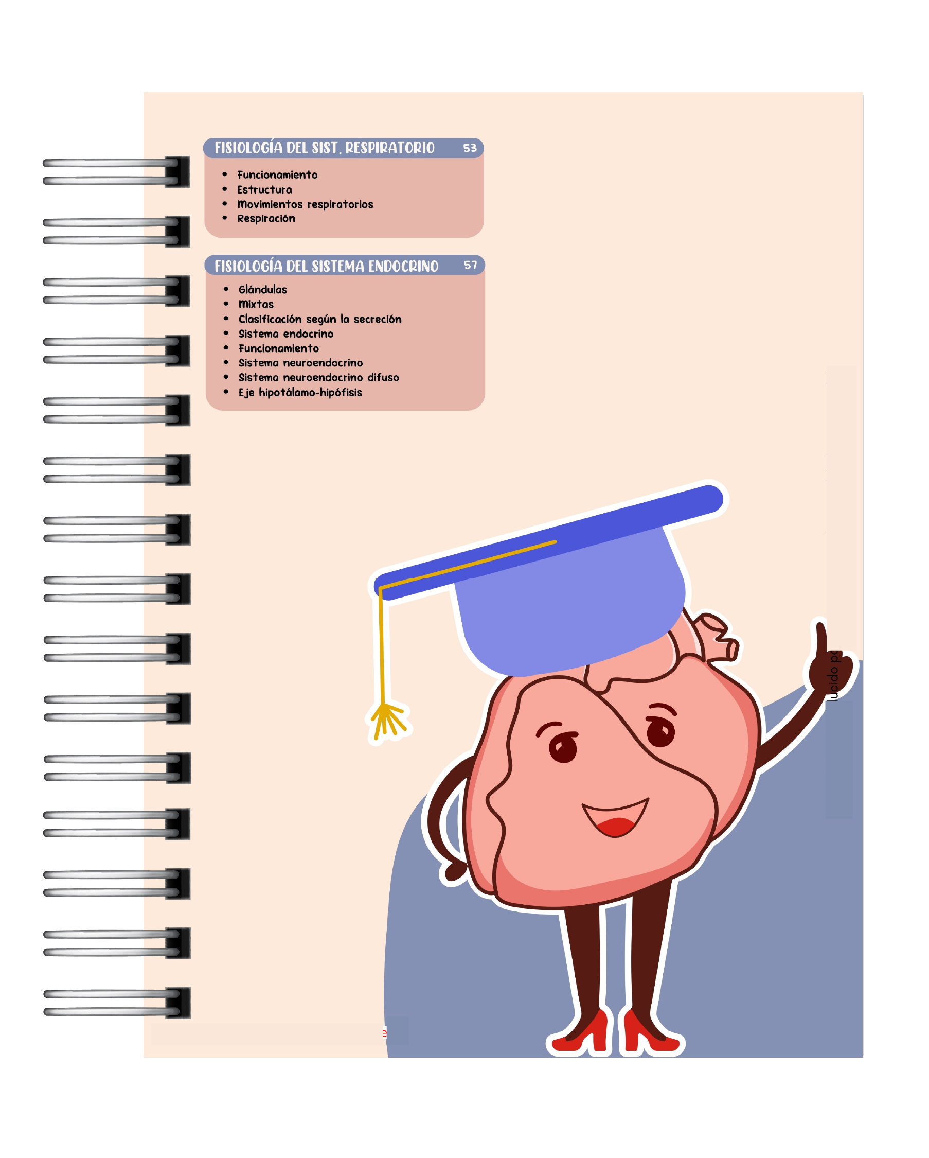 Libreta de Apuntes de Fisiología Humana 3
