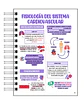 Libreta de Apuntes de Fisiología Humana - Miniatura 5