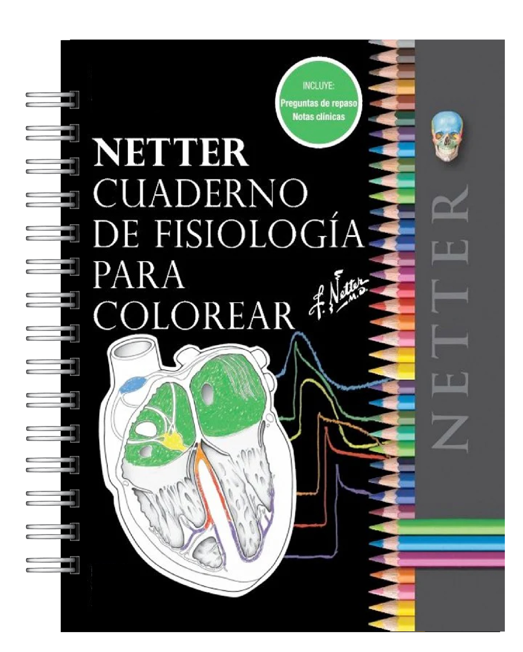 Libro para Colorear: Fisiologia Netter 1