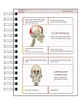 Libreta de Apuntes de Anatomía Humana Músculos - Miniatura 5
