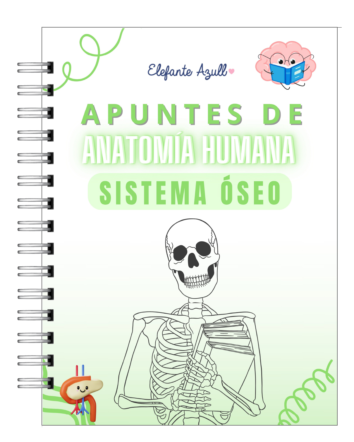 Libreta de Apuntes de Anatomía Humana Sistema Óseo 1