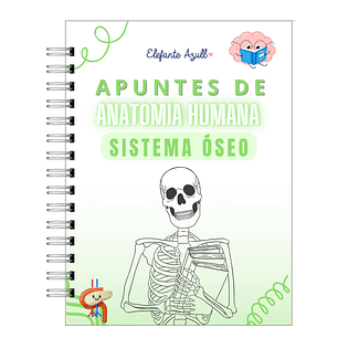 Libreta de Apuntes de Anatomía Humana Sistema Óseo