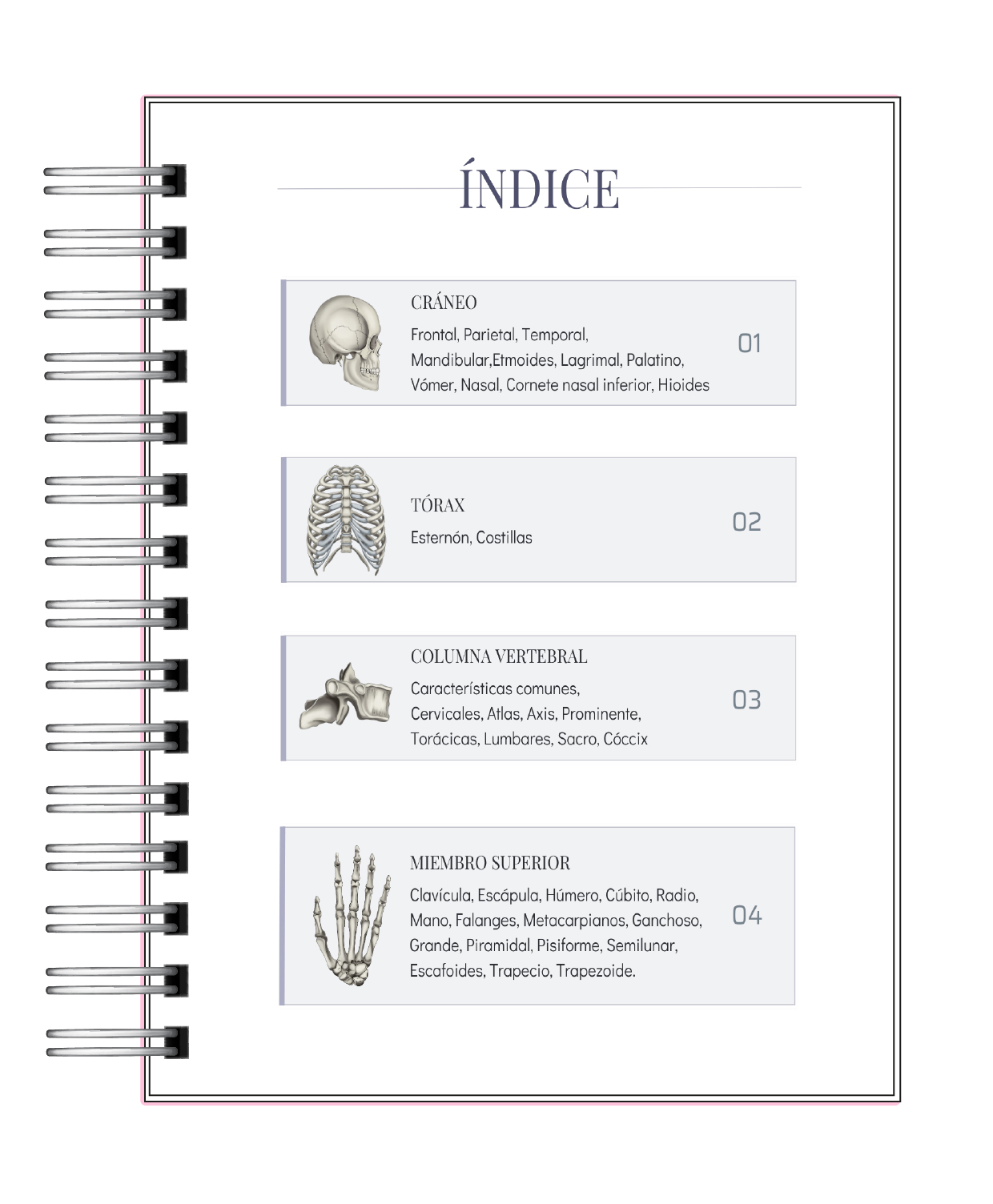 Libreta de Apuntes de Anatomía Humana Sistema Óseo 2