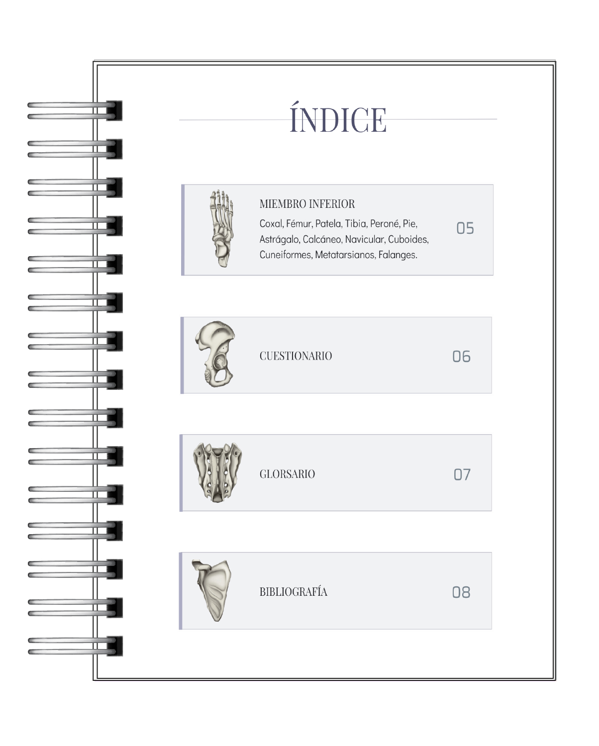 Libreta de Apuntes de Anatomía Humana Sistema Óseo 3