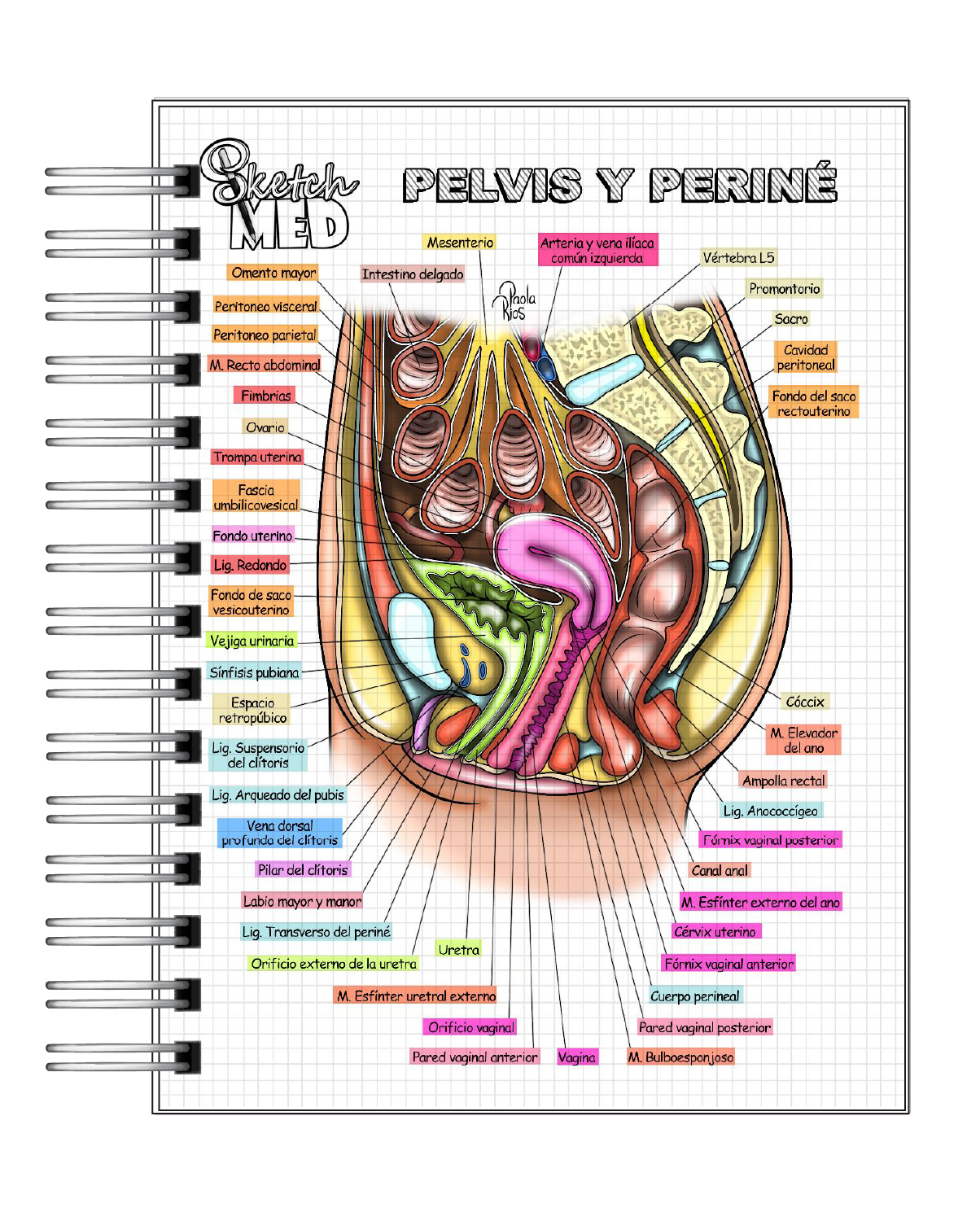 Rios - Ginecología y Obstetricia  3
