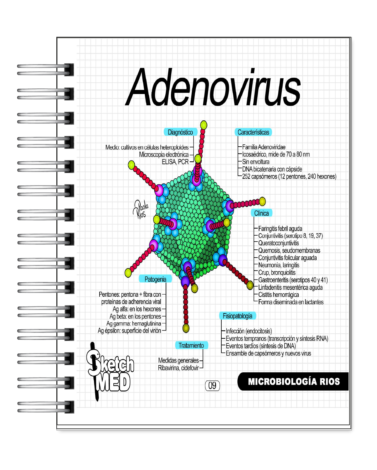 Microbiología Rios 4