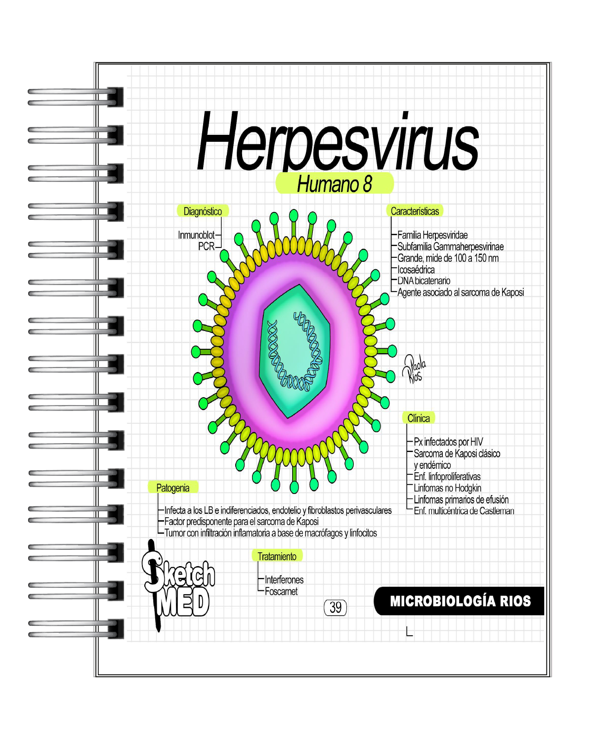 Microbiología Rios 5