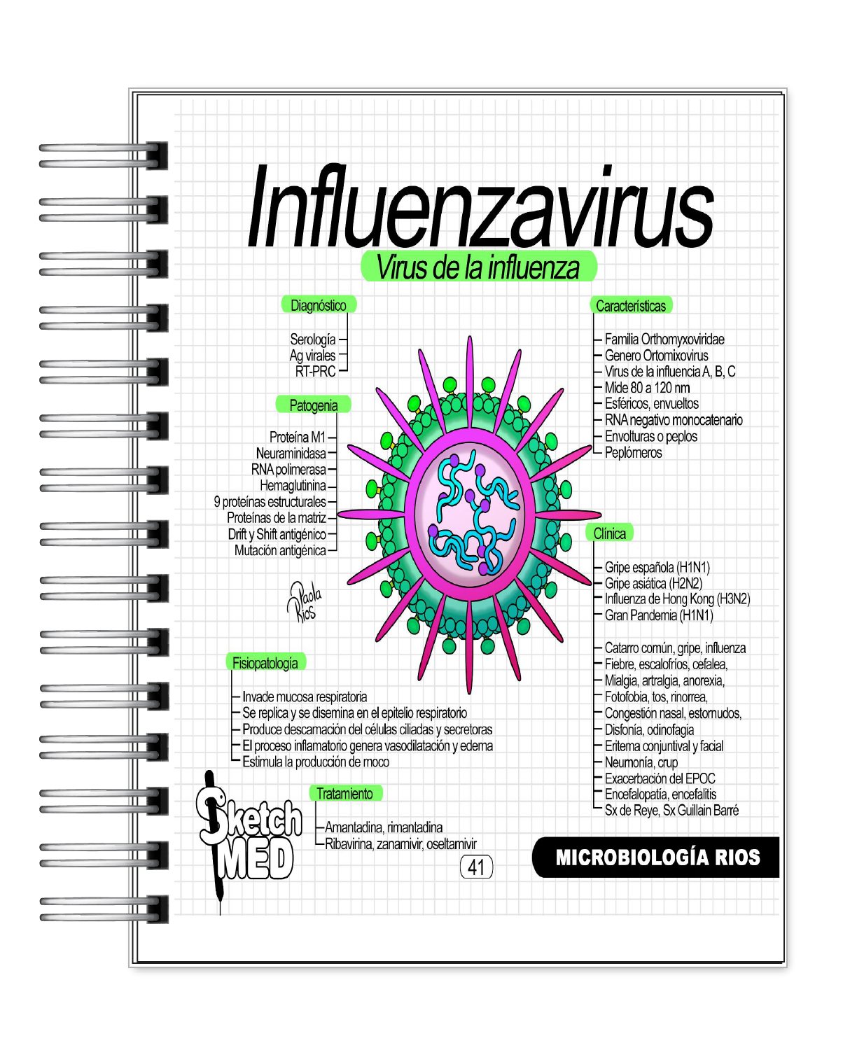 Microbiología Rios 6