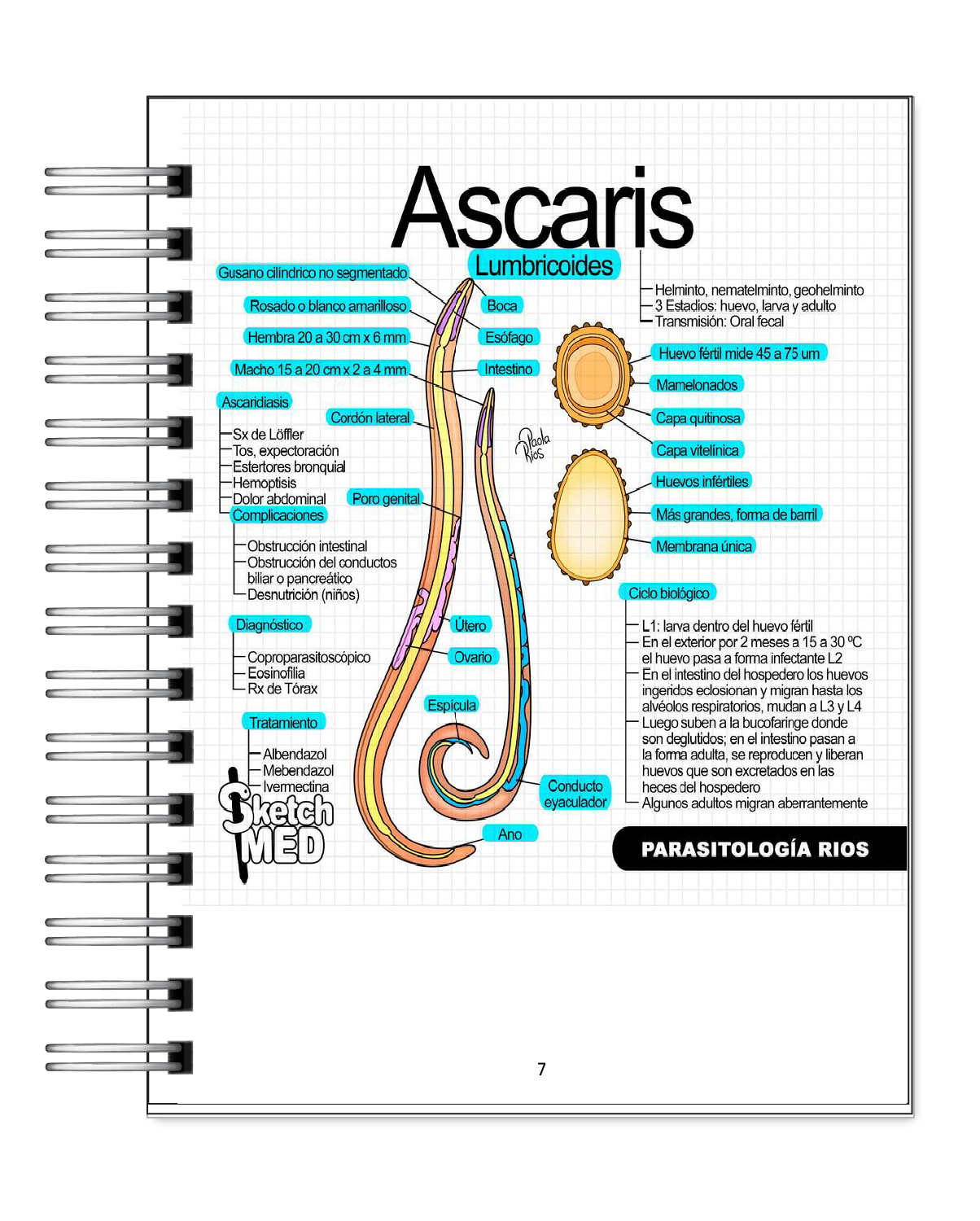 Parasitología Ríos 4