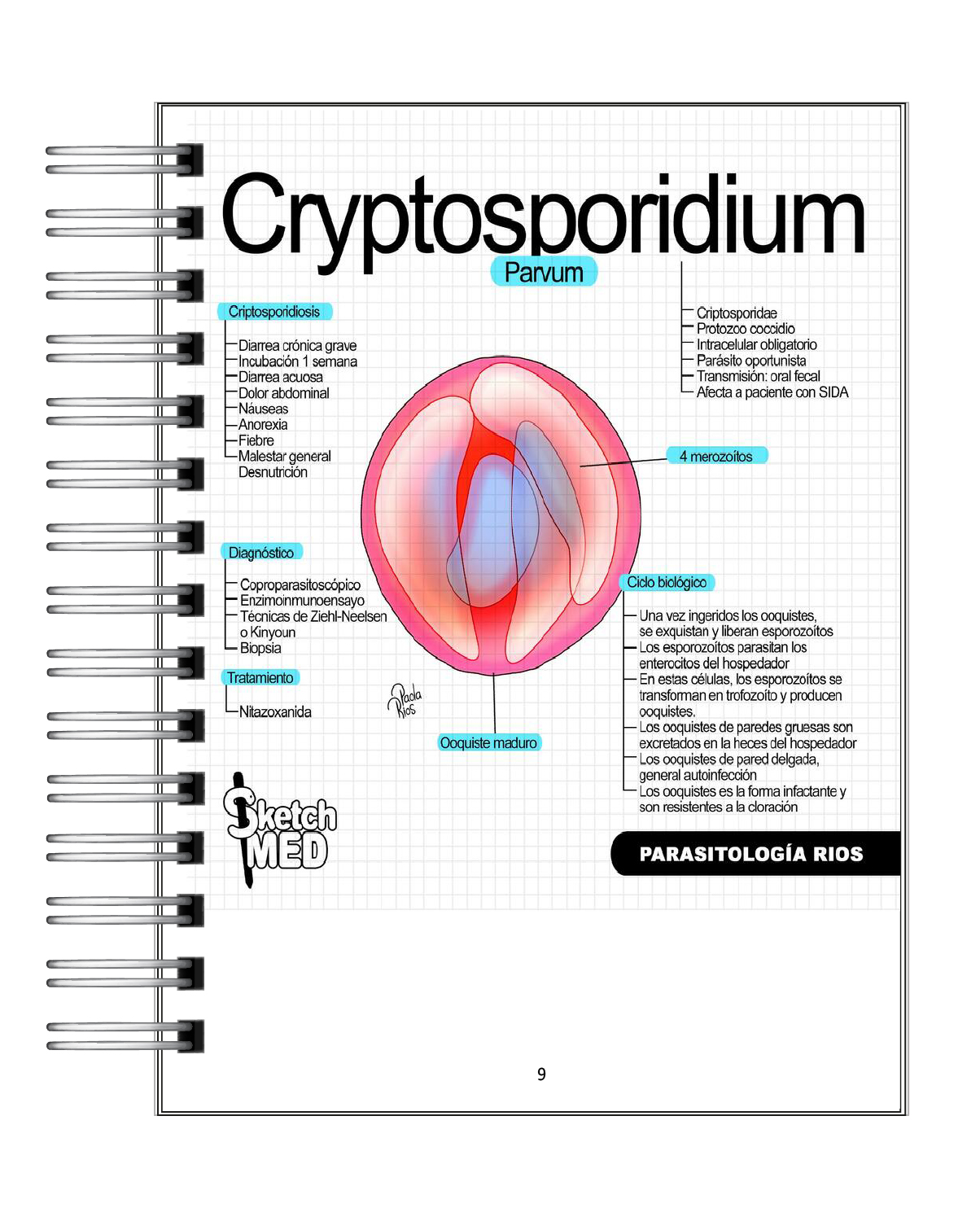 Parasitología Ríos 5