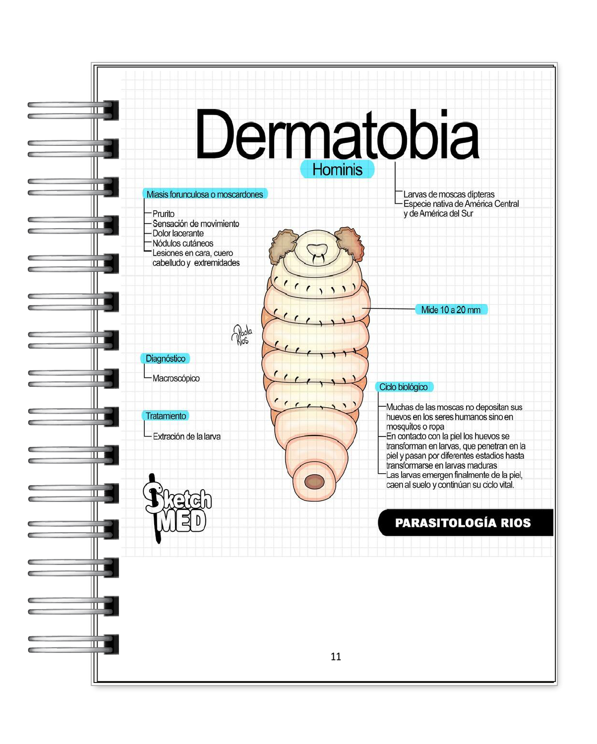 Parasitología Ríos 6
