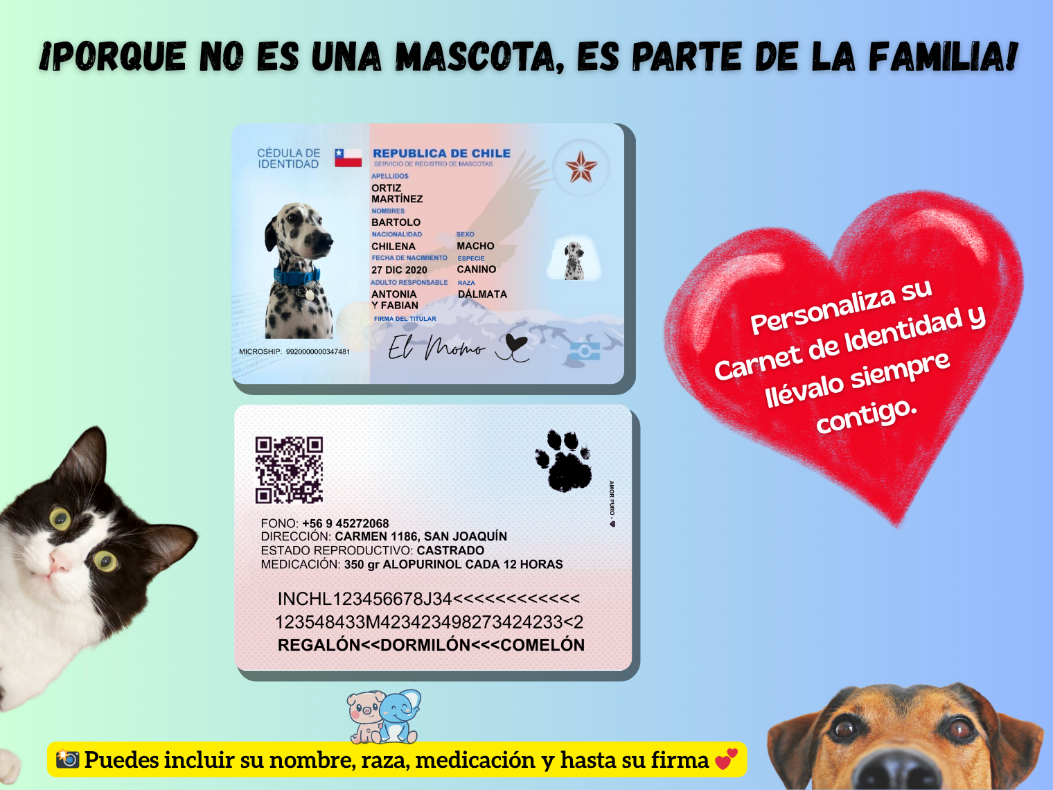 Carnet Para Mascotas   1