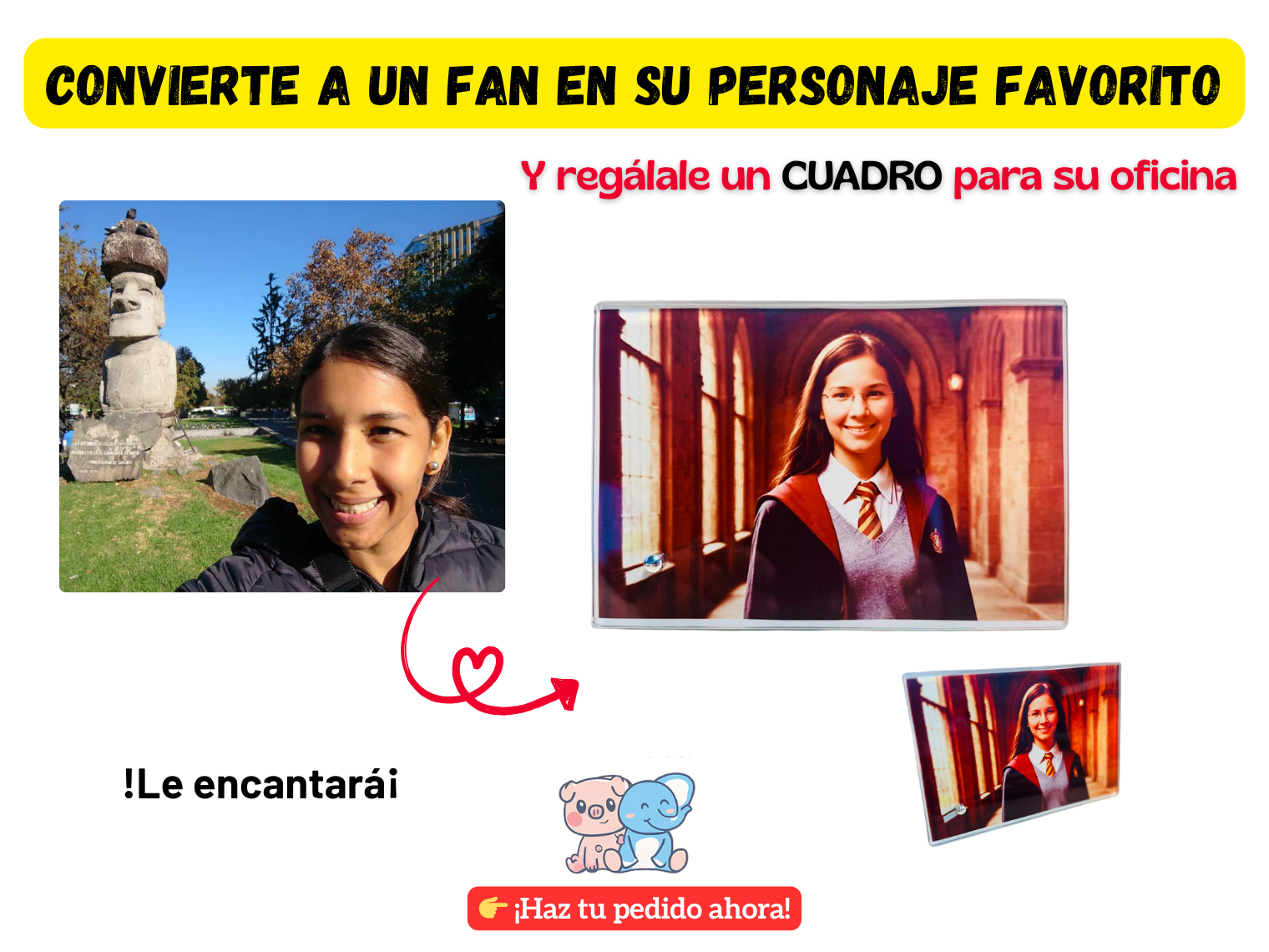 Cuadro “Fan → Personaje Favorito” Personalizado  1