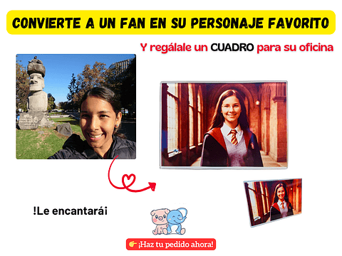 Cuadro “Fan → Personaje Favorito” Personalizado 