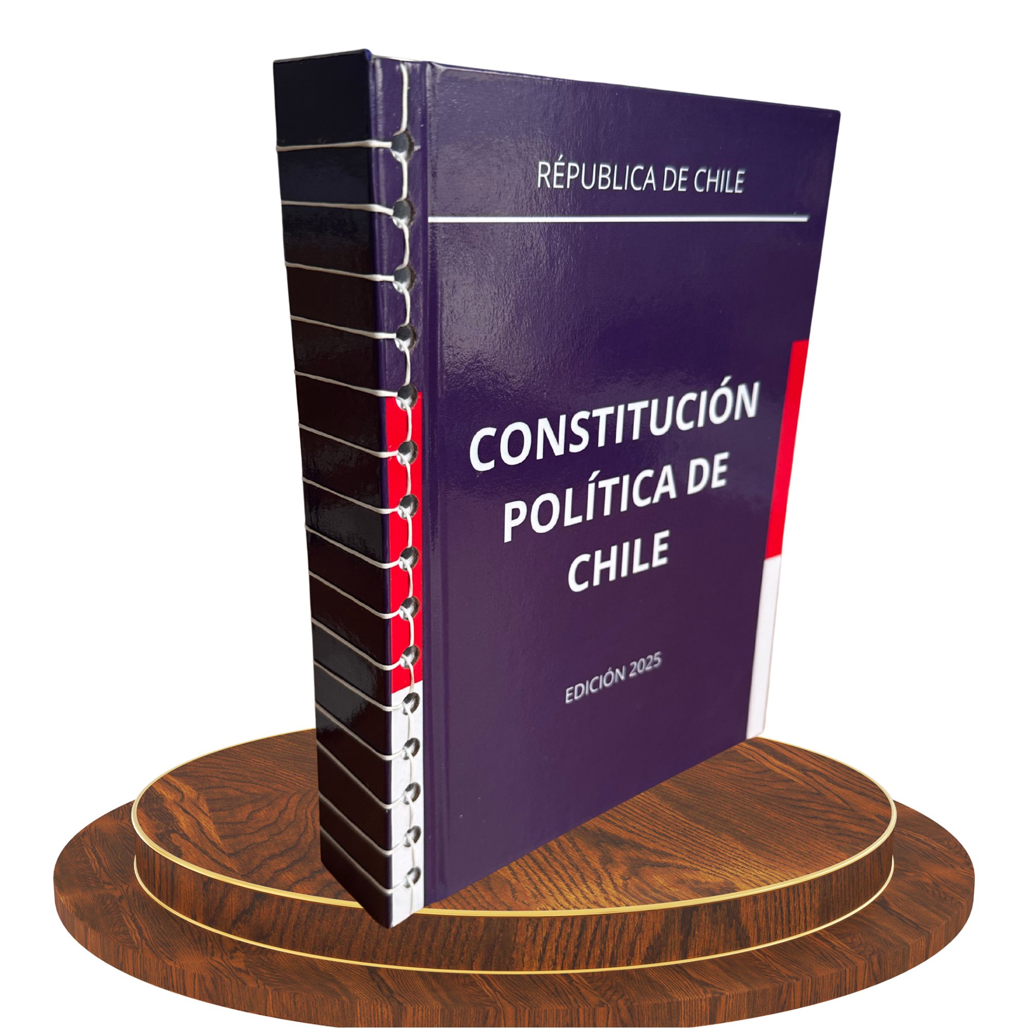 Constitución Política de la República de Chile 2025 2