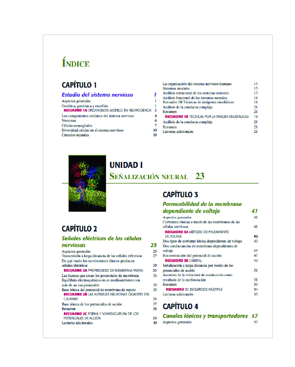 Neurociencia – 5ª edición Purves 3