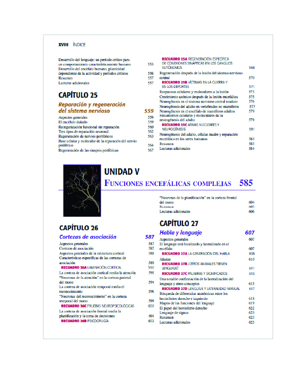 Neurociencia – 5ª edición Purves 4