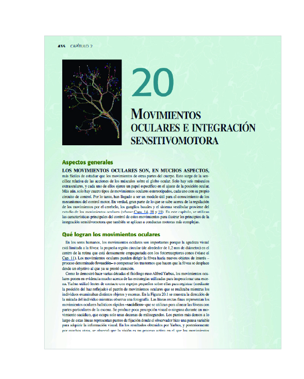 Neurociencia – 5ª edición Purves 6
