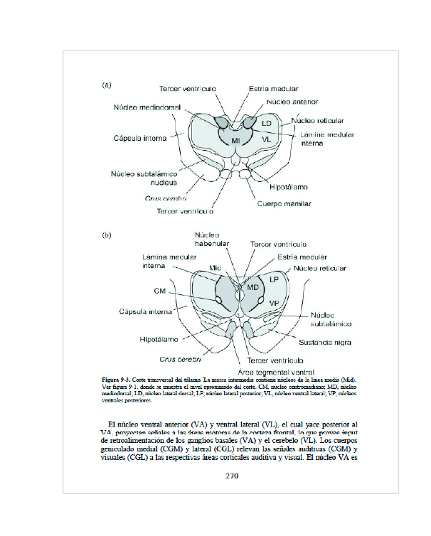 El cerebro y la conducta: Neuroanatomía para psicólogos – 3ª edición 5