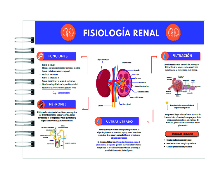 Manual de Interpretación de Exámenes Laboratoriales 5