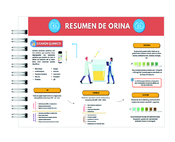 Manual de Interpretación de Exámenes Laboratoriales 6