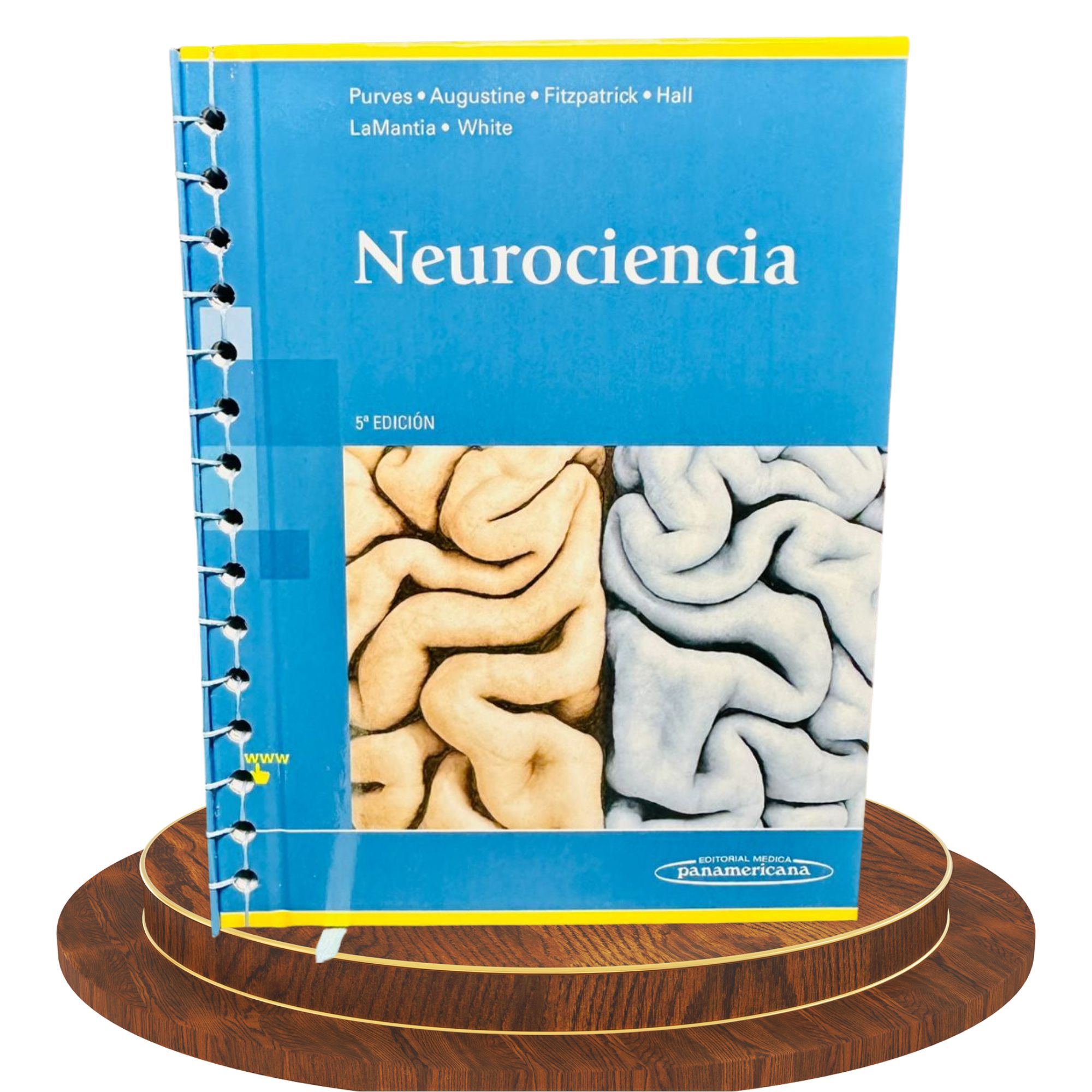 Neurociencia – 5ª edición Purves 1