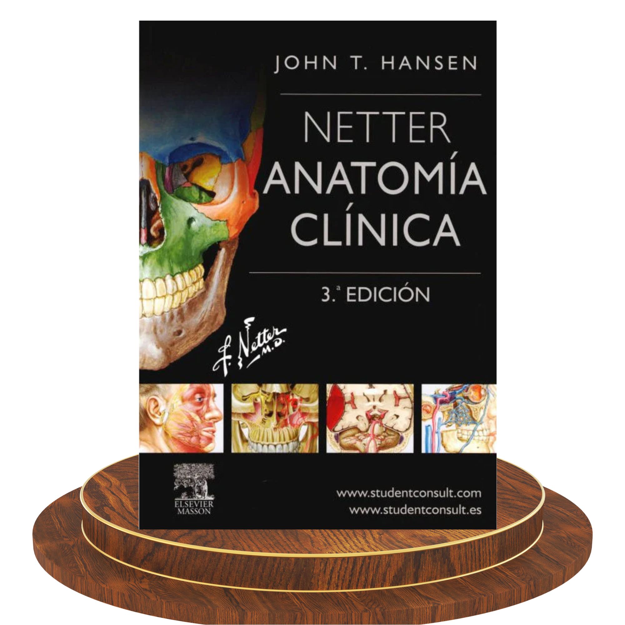 Netter. Anatomía Clínica – 3.ª edición 1