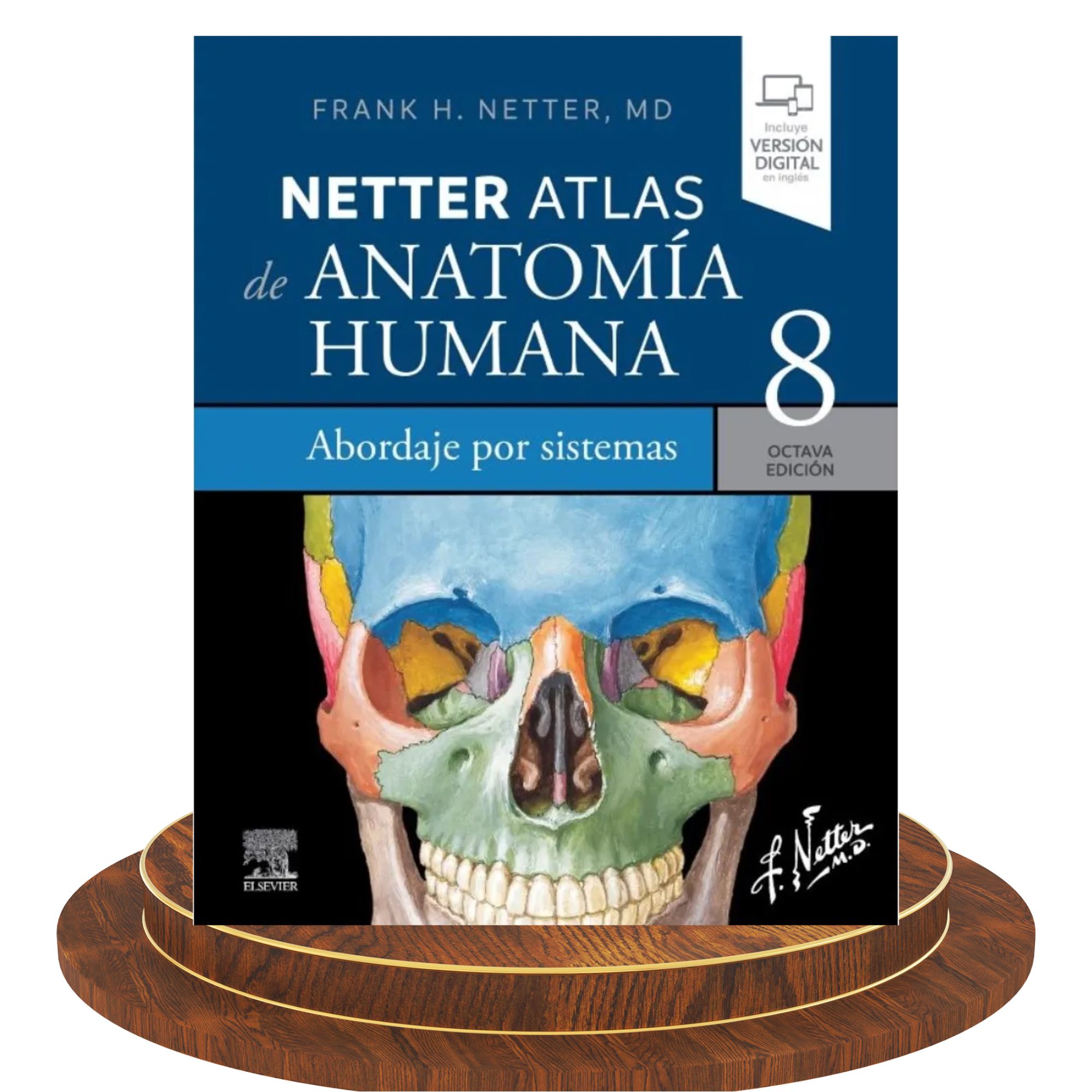 Atlas de Anatomía Humana Netter – 8.ª edición (Abordaje por Sistemas) 1