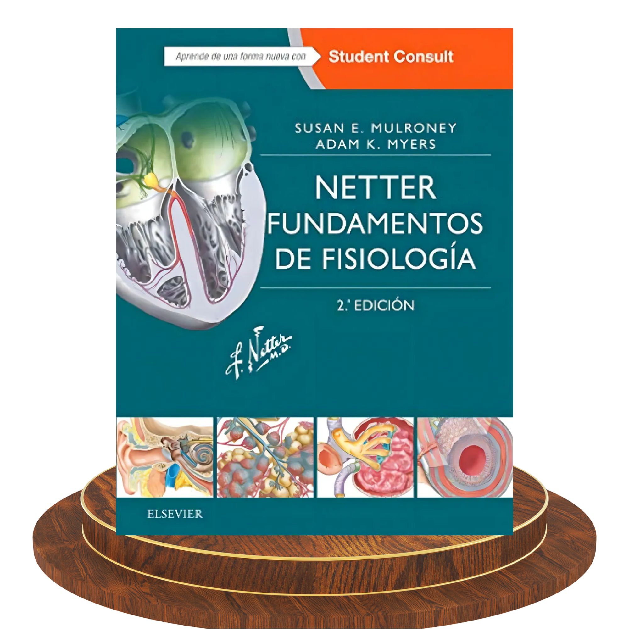 Netter. Fundamentos de Fisiología – 2.ª edición 1