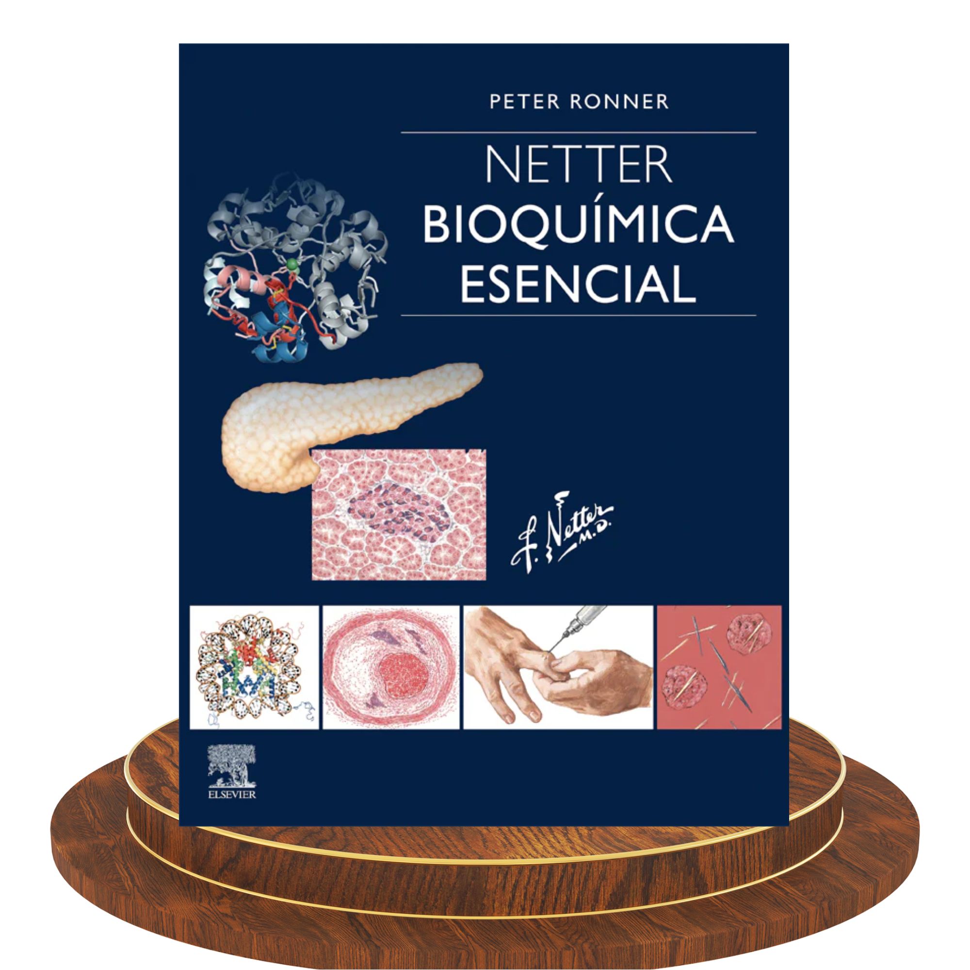 Netter. Bioquímica Esencial – 1.ª edición 1