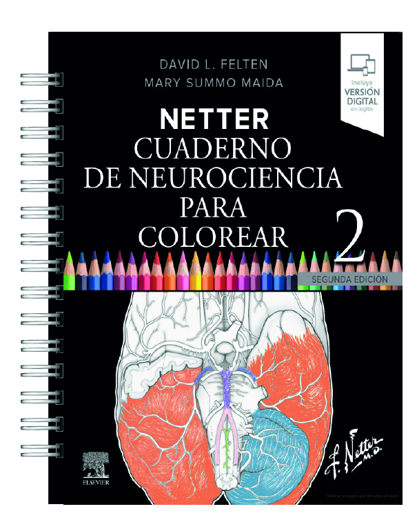 Libro para Colorear: Neurociencia Netter 2 1