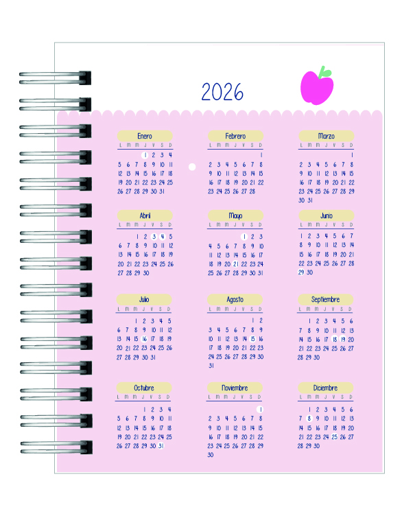 Agenda Educadora Diferencial 4
