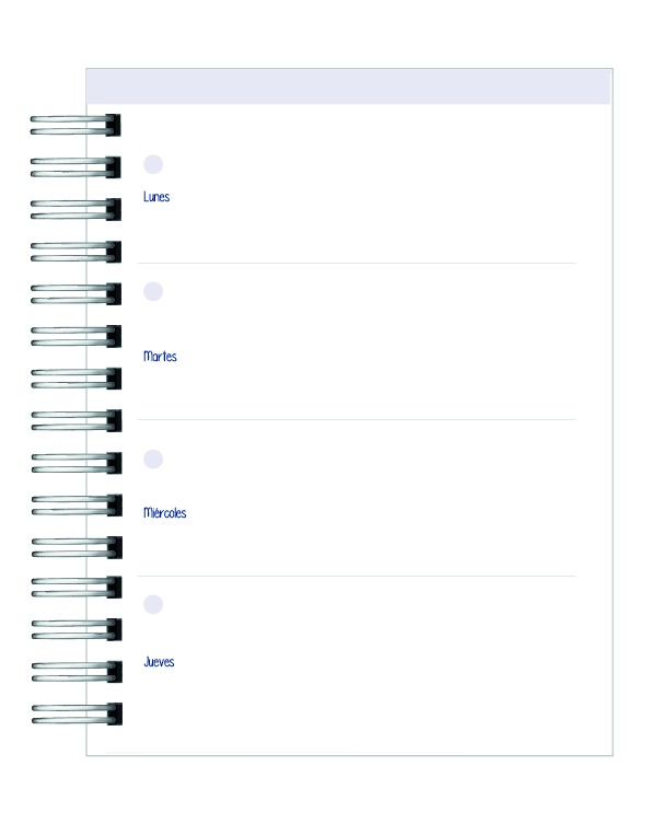 Agenda Educadora Diferencial 10