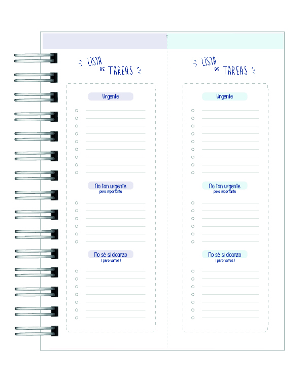 Agenda Educadora Diferencial 11