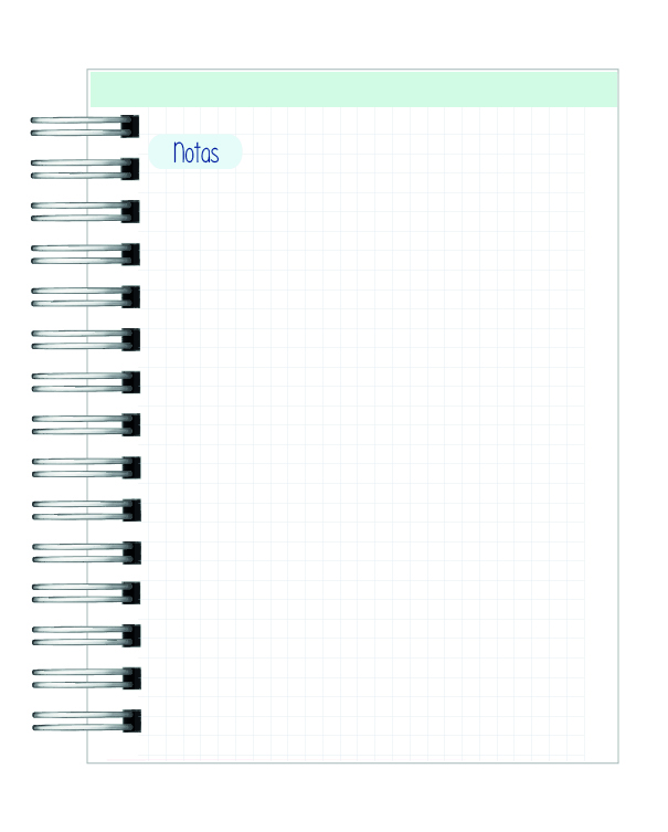 Agenda Educadora Diferencial 12