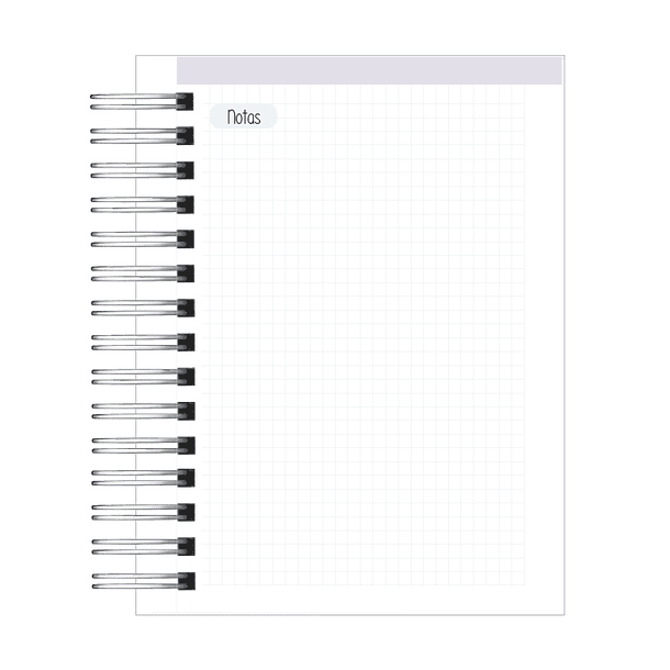 Agenda Psicopedagoga 11