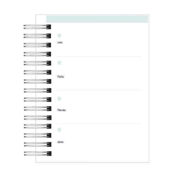 Agenda Psicopedagoga 10